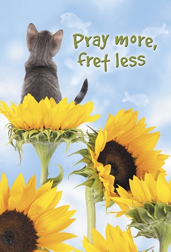 Boxer Dog Wish u Better Daisies Leanin Tree Encourgement Card w/ Magnet in One 
